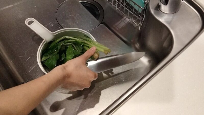 小松菜を洗う